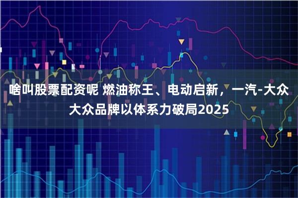 啥叫股票配资呢 燃油称王、电动启新,一汽-大众大众品牌以体系力破局2025