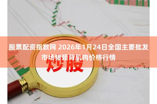 股票配资指数网 2026年1月24日全国主要批发市场猪颈背肌肉价格行情