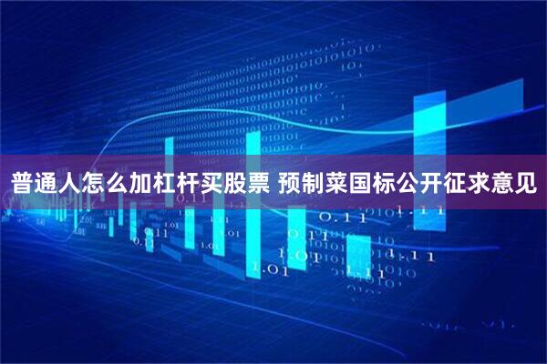 普通人怎么加杠杆买股票 预制菜国标公开征求意见